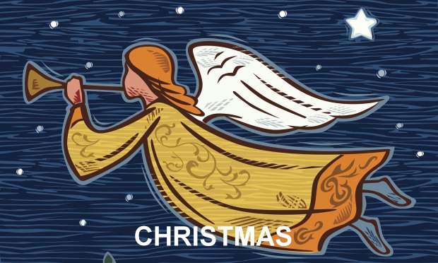 Series: <span>Christmas Is Coming</span>